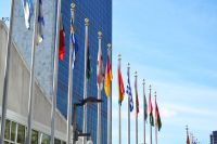 Expat verzekeringspakket